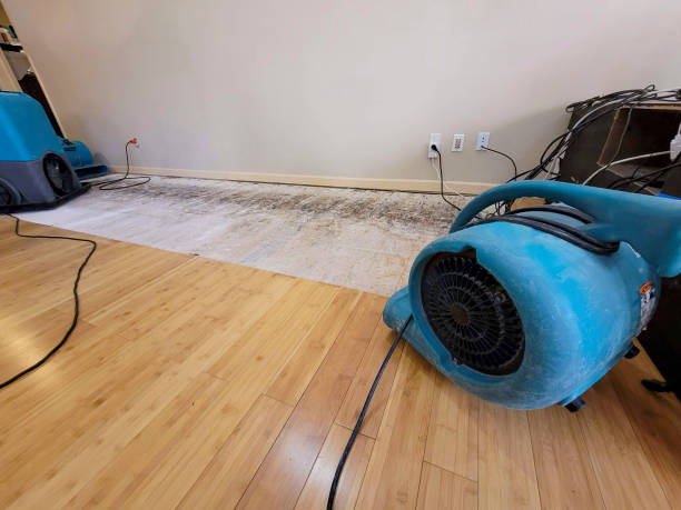 Reliable Water Extraction contractor in Edwardsville, PA by Hirex Water Damage