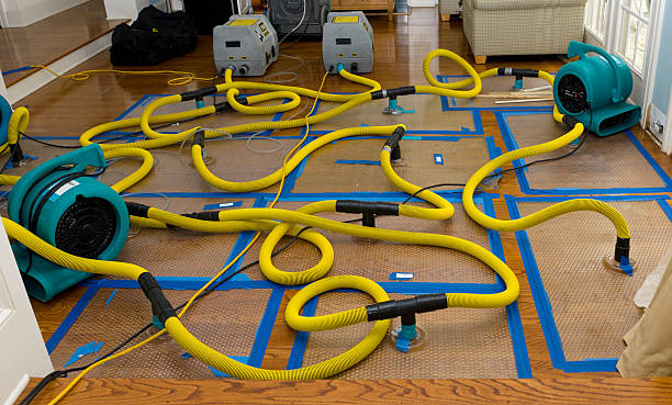 Professional Water Extraction technician working in Edwardsville, PA